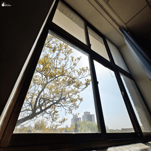 Large home windows viewed from indoors with nearby tree branches, highlighting the importance of checking windows before storm season.