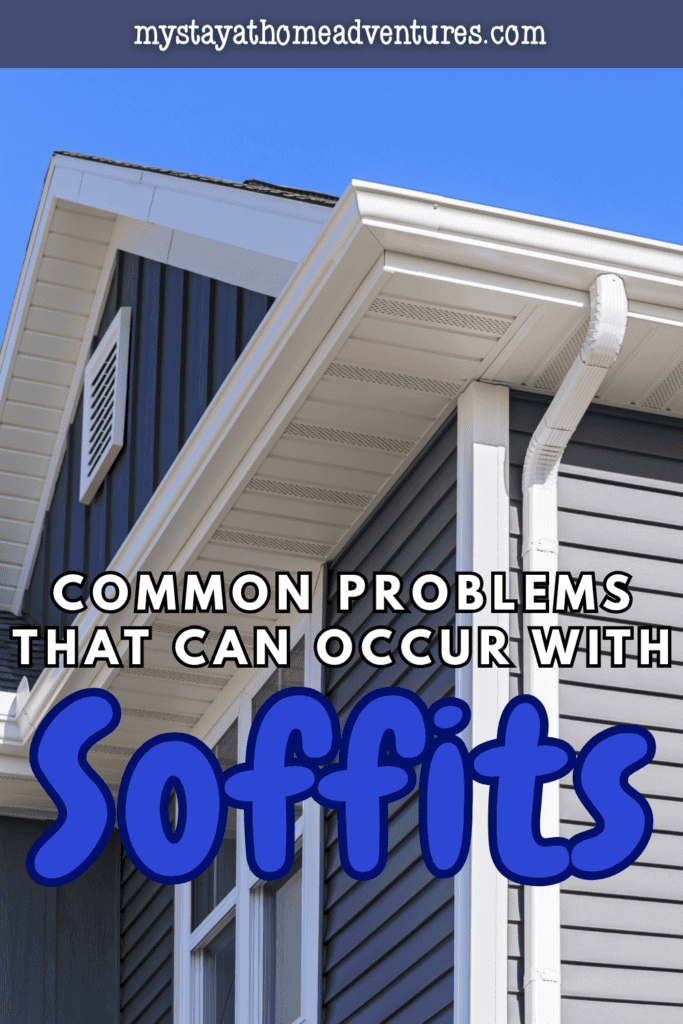Exterior view of a house showing white ventilated soffits, roof eaves, fascia, gutters, downspout, and dark siding.