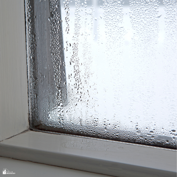 Water droplets cover a windowpane, showing moisture that may point to a window seal problem.