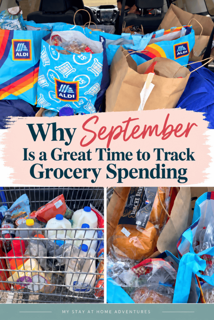 Pinterest graphic showing reusable grocery bags and a shopping cart filled with groceries with the text “Why September Is a Great Time to Track Grocery Spending.”