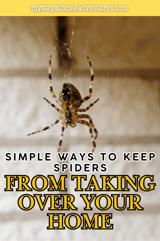 A large spider sits in its web near a window inside a house, highlighting the need for regular spider prevention.