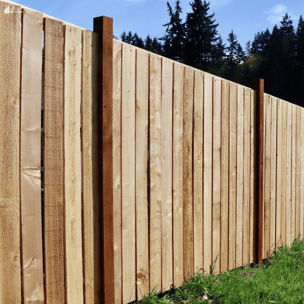 A tall wooden fence provides a garden privacy upgrade by creating a more secure and secluded outdoor space.
