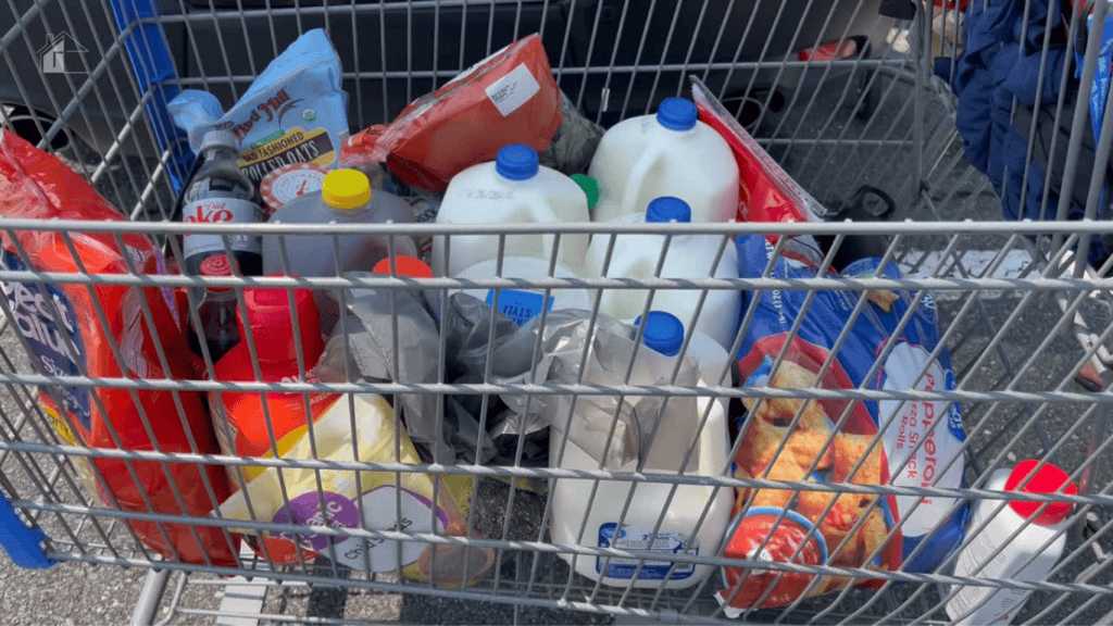 Shopping cart filled with groceries, including milk, drinks, produce, and packaged foods, while tracking grocery spending for a monthly grocery budget.