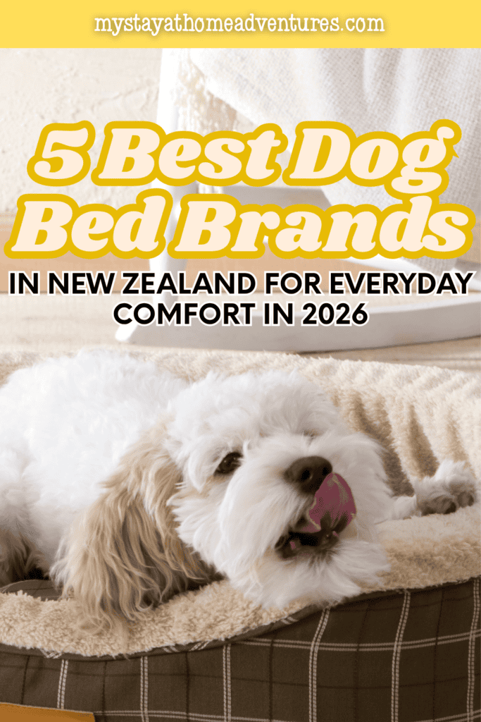 A fluffy white puppy with tan ears licks its nose while resting on a cream-lined plaid dog bed.