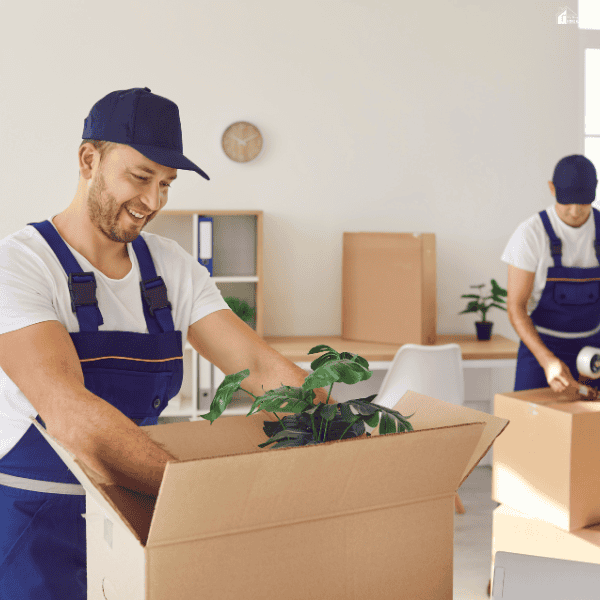 A moving company worker packs a houseplant while a colleague seals another cardboard box nearby.