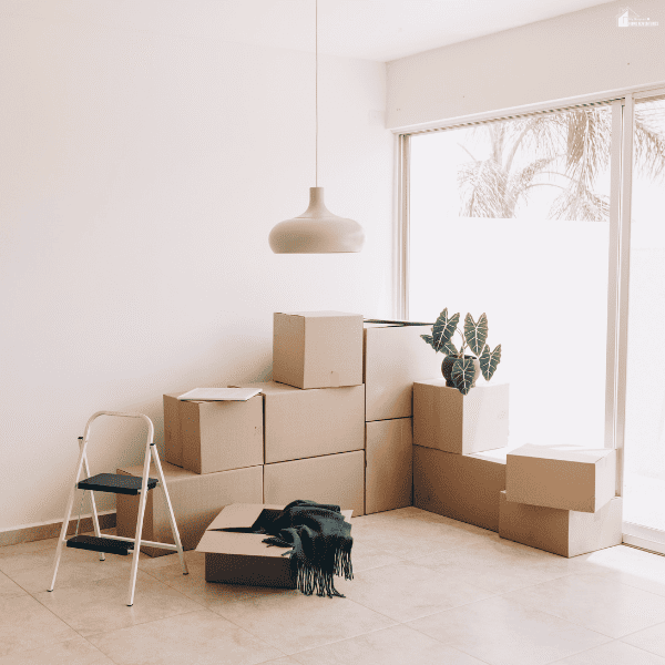 Stacked boxes, a houseplant, and a folding stepladder await pickup by a moving company beside a large window.