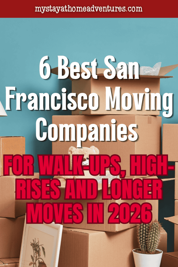 Cardboard boxes, a teddy bear, a framed print, and a potted cactus illustrate belongings that relocation professionals help transport.
