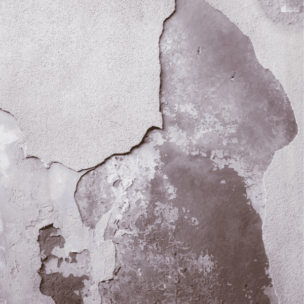 Peeling paint and discolored plaster show possible moisture damage that may be linked to roof problems.