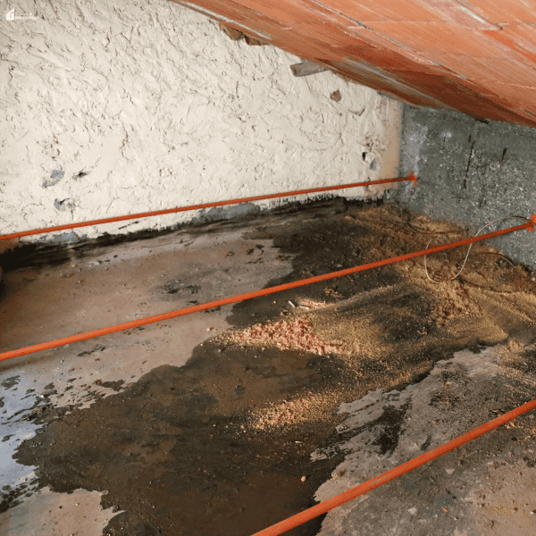 Dark stains spread across an attic floor, suggesting moisture problems that may contribute to roof decay.